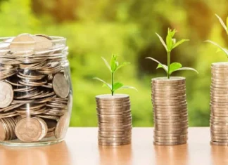5 penny rule NZ for all Money Saving Tips: पैसे वाचवण्याचे 5 गोल्डन रुल्स