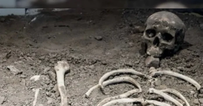  After 47 years of death, the skeleton's DNA test revealed the secret!  Police are now looking for the killer

