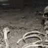 After 47 years of death, the skeleton's DNA test revealed the secret!  Police are now looking for the killer