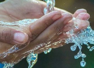 Astrology, do not keep these selected things on anyone’s palm चुकूनही कोणाच्या हातावर ठेवू नका 'या' गोष्टी, क्षणात निघून जाईल घरातली भरभराट