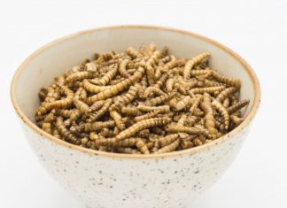 Avril and Citizen Capital want to create green agricultural sectors L'élevage de vers de farine apporte un complément de revenu aux agriculteurs et leur permet de réduire leur facture d'engrais chimiques en y substituant l'épandage des déjections d'insectes.