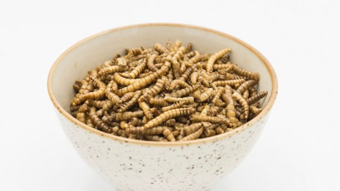 L'élevage de vers de farine apporte un complément de revenu aux agriculteurs et leur permet de réduire leur facture d'engrais chimiques en y substituant l'épandage des déjections d'insectes.