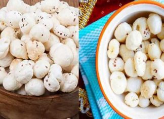 Benefits of Makhana for men, Benefits of Makhana GS Makhana Benefits : पुरुषांच्या आहारात मखाणाचा अवश्य समावेश करा, आरोग्यासाठी हे आश्चर्यकारक फायदे