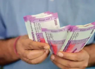 Best Financial Buying Funds to Get Better Returns on Your Portfolio This Festival Top Personal Finance Investment Tips News english सणासुदीच्या हंगामात फॉलो करा; Financial Shopping Guide आणि मिळवा तगडं प्रॉफिट