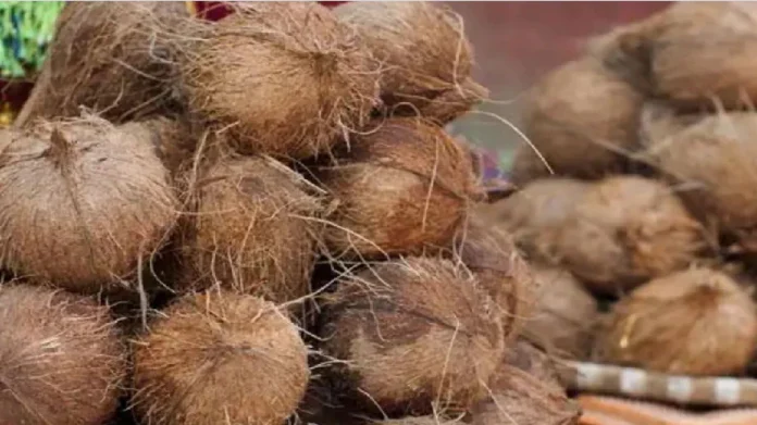 Coconut for good blessings Know details about good health of Coconut : नारळ फोडताय? 'या' गोष्टीची विशेष काळजी घ्या