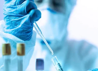 Danger: A new virus like Kovid-19 found in bats, capable of infecting humans Danger: A new virus like Kovid-19 found in bats, capable of infecting humans