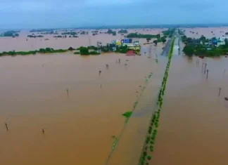 Deadline extension for Vadanere committee to study flood situation in Bhima basin Deadline extension for Vadanere committee to study flood situation in Bhima basin