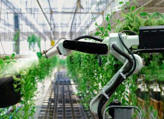 Digital and environment: highly sought-after cross-skills Si le numérique est l'un des importants émetteurs de CO2, son important potentiel pour décarboner l'ensemble des activités humaines est plus rarement évoqué.