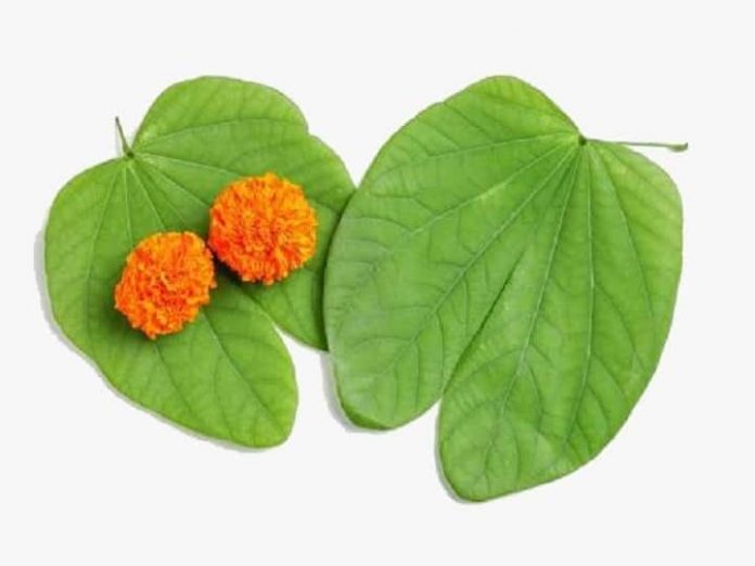 Dussehra 2022 know the importance of history and importance of that day Marathi News

