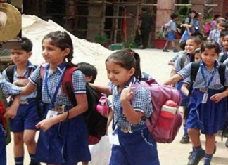 Education Department’s decision to abolish the post of constable in state schools राज्यातील शाळांमधील शिपाई पद रद्द करण्याचा शिक्षण विभागाचा निर्णय