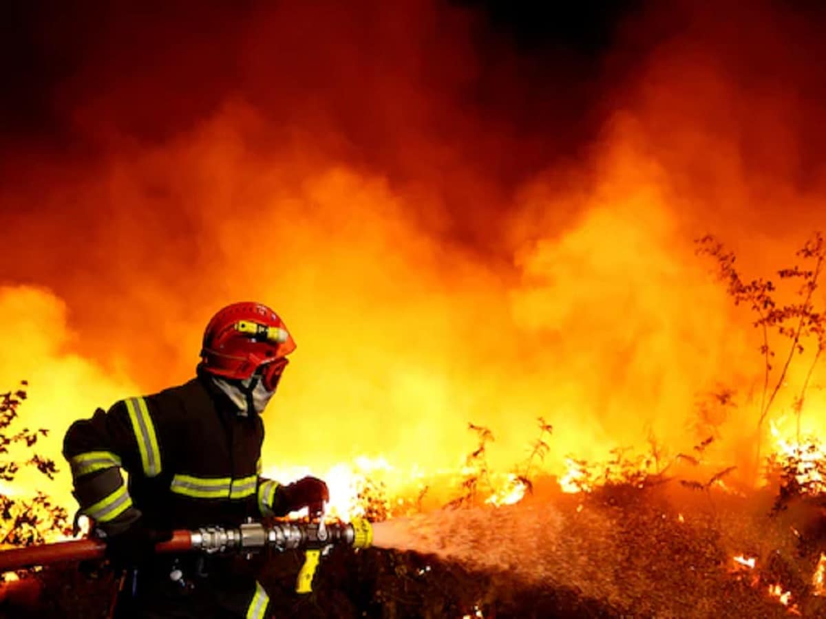 Forest fires in France: France's forest fires, EU neighbors help, fire engines and equipment sent to France

