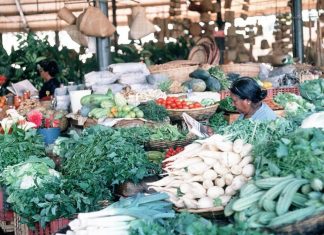 Inflation slowed in August in Reunion Les prix de l'alimentation ont augmenté de 0,5 % en août sur l'île de La Réunion.