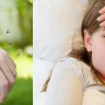 डेंग्यूचा धोका वाढतोय!'या' टीप्स वापरून घरातले डास पळवा