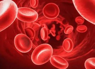 Low Hemoglobin: These things rapidly increase hemoglobin in the blood Low Hemoglobin: झपाट्याने रक्तातील हिमोग्लोबिन वाढवतात या गोष्टी