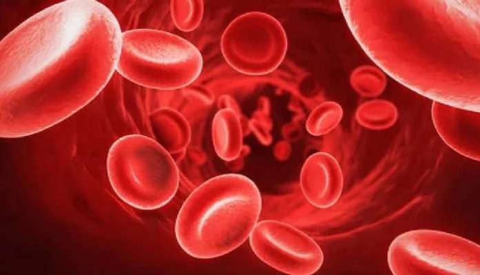 Low Hemoglobin: झपाट्याने रक्तातील हिमोग्लोबिन वाढवतात या गोष्टी