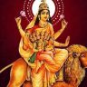 Navratri 2022 nine |  Navratri 2022: From 'Sailputri' to 'Siddhidatri';  In Navratri, we worship 'these' forms of Goddess!