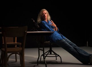 “Nothing opposes the night”: Elsa Lepoivre in the black light Elsa Lepoivre dans la peau et les mots de Delphine de Vigan.