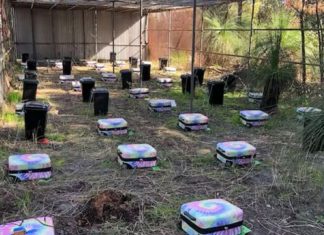 Now the secrets of every big murder mystery will be revealed! The bodies were packed in 70 suitcases; scientists are doing research Now the secrets of every big murder mystery will be revealed! The bodies were packed in 70 suitcases; scientists are doing research