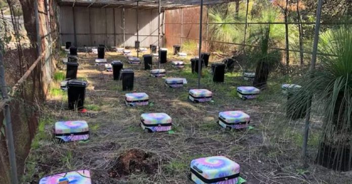 Now the secrets of every big murder mystery will be Now the secrets of every big murder mystery will be revealed! The bodies were packed in 70 suitcases; scientists are doing research