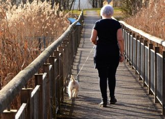 Pension reform: where are our European neighbors? Quelque 21 % de la population européenne est âgée de 65 ans ou plus.