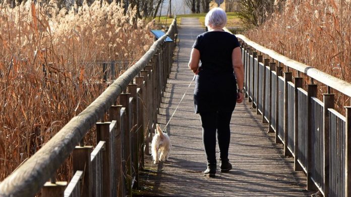 Quelque 21 % de la population européenne est âgée de 65 ans ou plus.