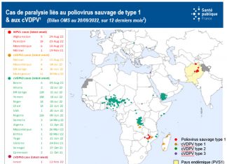 Public Health France maintains its vigilance Map representing paralysis cases linked to wild poliovirus type 1 and cVPDV, WHO report as of 09/20/22