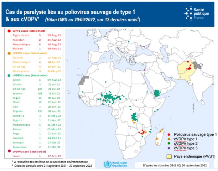 Public Health France maintains its vigilance Map representing paralysis cases linked to wild poliovirus type 1 and cVPDV, WHO report as of 09/20/22
