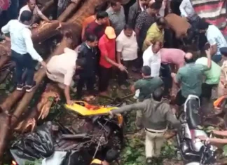Pune Latest News An elderly rickshaw driver died after a tree fell on him Pune Latest News An elderly rickshaw driver died after a tree fell on him