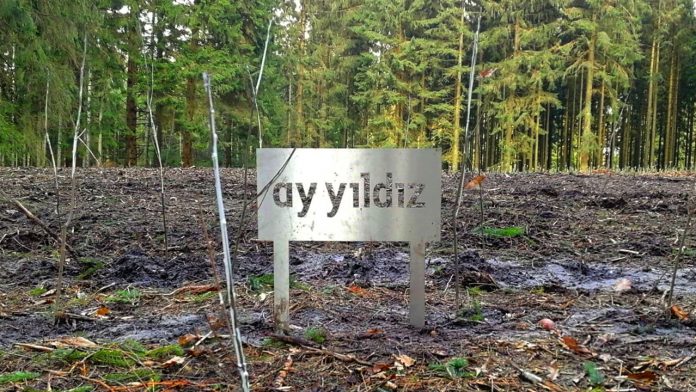 Reforestation for climate protection: mobile phone brand AY YILDIZ plants 1,500 trees
