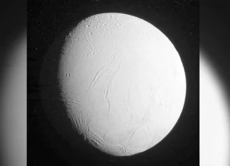 Saturn’s moon Enceladus has “almost all” ingredients for life: study Saturn