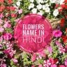 Flower names in Hindi