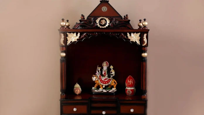 Shardiya Navratri 2022: नवरात्रीसाठी घराची साफसफाई करताय का? मग ही बातमी वाचा 