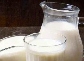 Side Effects of Milk According to Ayurveda, start the day with milk. सकाळच्या वेळेस दूध प्यावं की नाही? पाहा Ayurveda काय सांगतं?