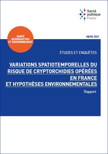  Spatiotemporal variations in the risk of cryptorchidism operated on in France and environmental hypotheses.  Synthesis

