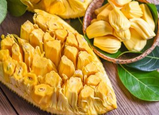 These start-ups are attacking ultra-processed products Le fruit du jacquier, qui pousse surtout dans l'hémisphère Sud, permet à la start-up Nudj de développer des produits alternatifs aux similis carnés.