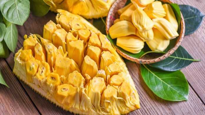 Le fruit du jacquier, qui pousse surtout dans l'hémisphère Sud, permet à la start-up Nudj de développer des produits alternatifs aux similis carnés.