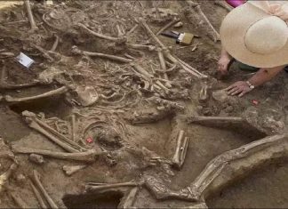 Today’s news in Marathi, thousands of years old grave found, scientists were surprised to see the view Today's news in Marathi, thousands of years old grave found, scientists were surprised to see the view