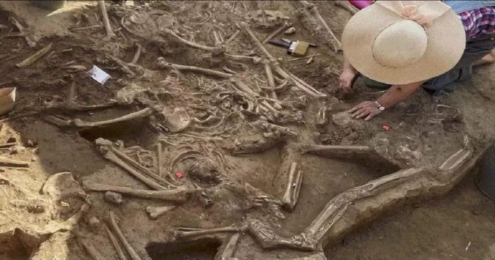 Today's news in Marathi, thousands of years old grave found, scientists were surprised to see the view

