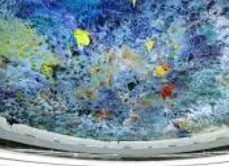 UN Human Rights Organization experts – What are war crimes in Ukraine? Know the full story UN Human Rights Organization experts - What are war crimes in Ukraine? Know the full story