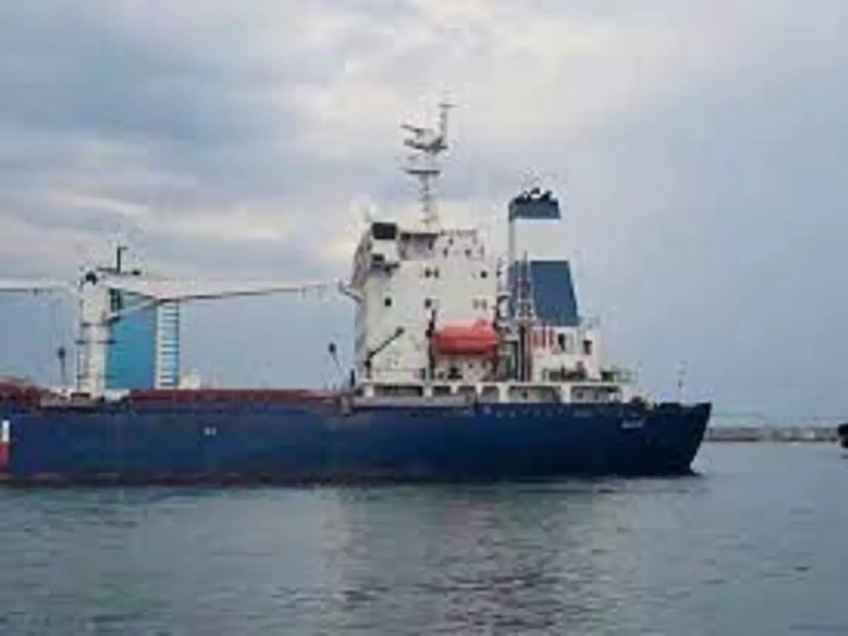 Under the UN deal, two more ships with grain leave from the port of Ukraine

