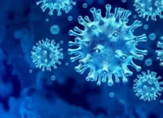 Virus waiting! They attack when given a chance, new research shows Virus waiting! They attack when given a chance, new research shows