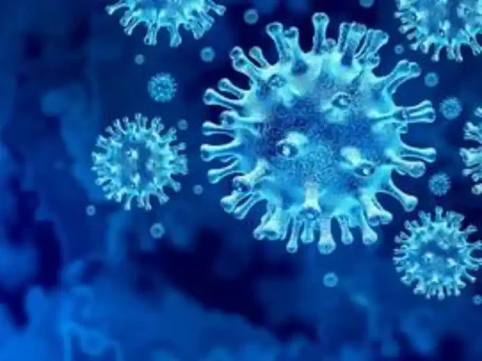  Virus waiting!  They attack when given a chance, new research shows

