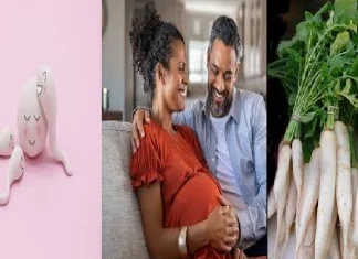 What is the relationship between radish and fertility and fertility enhancing food Radish NM Fertility Boosting: मुळा आणि फर्टिलिटीचा काय संबंध? जाणून एका क्लिकवर