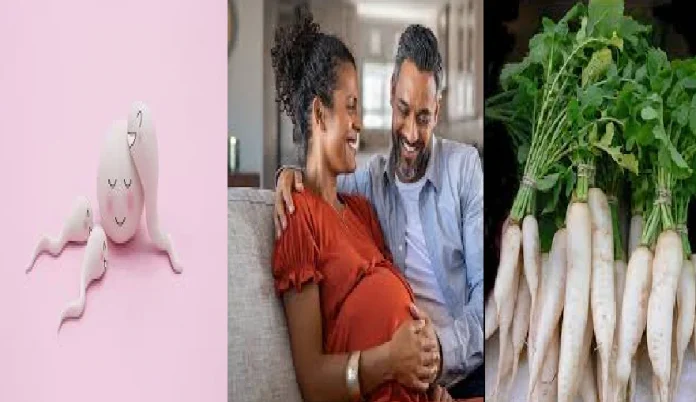 Fertility Boosting: मुळा आणि फर्टिलिटीचा काय संबंध? जाणून एका क्लिकवर