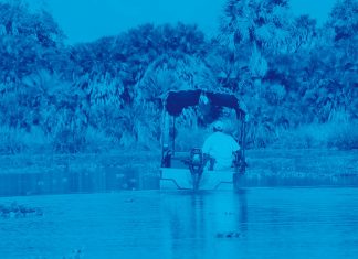 Zika – Public Health France Zika - Public Health France