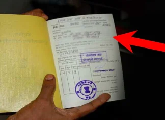 ration card online phone number update process sz Ration Card : रेशन कार्डधारकांसाठी महत्वाची बातमी; ...अन्यथा रेशन बंद होईल!