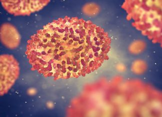 update on August 11, 2022 update on August 11, 2022