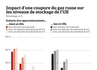 Gas: savings more than ever “crucial” for Europe Gas: savings more than ever “crucial” for Europe
