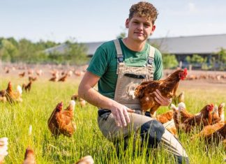 How Europe is fighting bird flu Europe | DW Alrik Visscher kneels in the grass surrounded by chickens