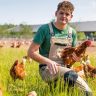 Alrik Visscher kneels in the grass surrounded by chickens